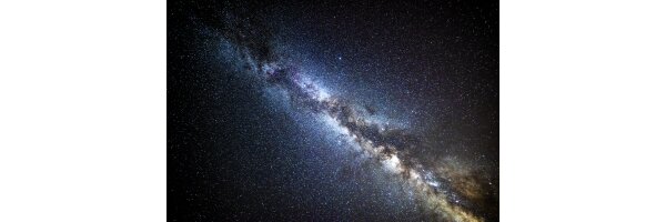 Kreation / Evolution