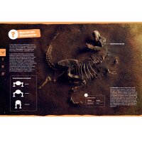 Dinosaurier Drachen Desaster