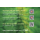 Der Körper heilt sich selbst - Visitenkarte 20er Pack