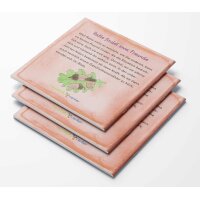 Ratte findet zwei Freunde