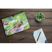 Missionskalender 2026