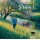 Psalm 1: Der Weg des Gerechten